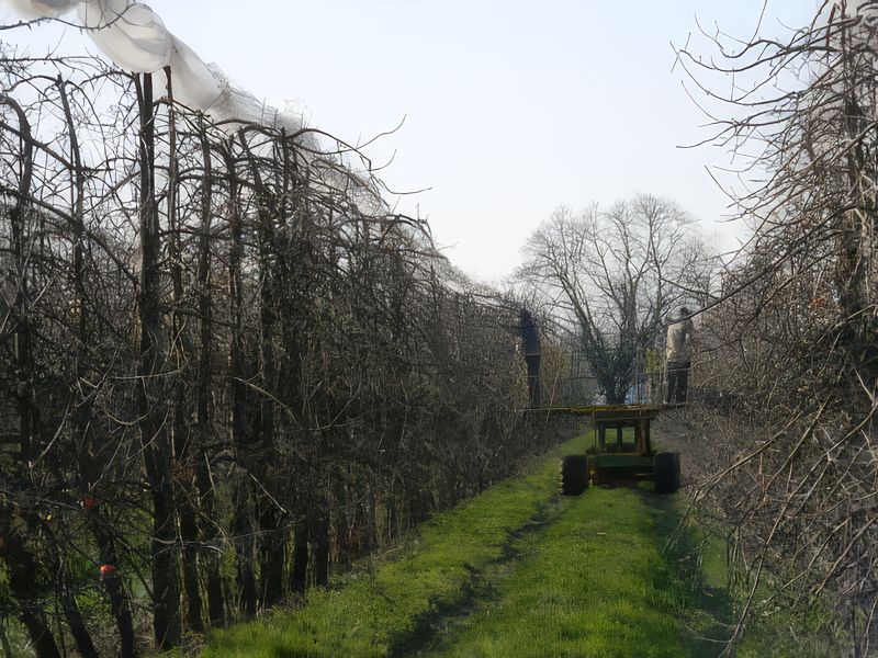 Les Vergers Du Val Garonne Vente Direct De Fruits Toulouse 01