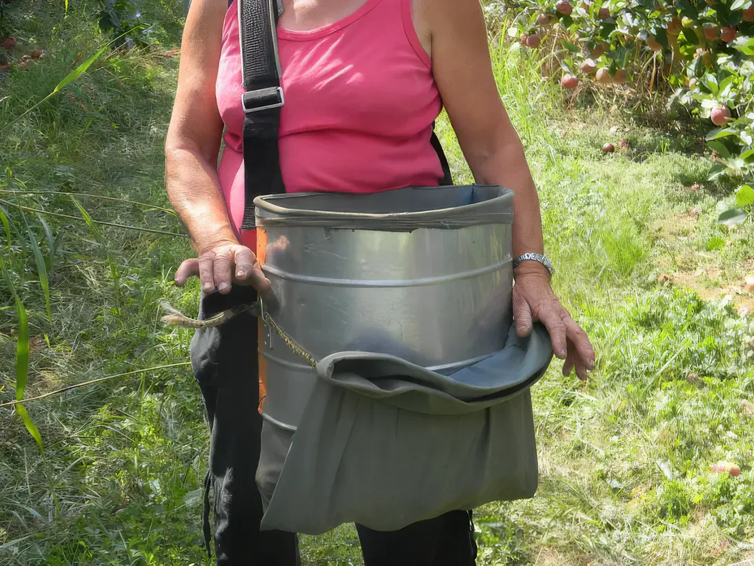 Les Vergers Du Val Garonne Vente Direct De Fruits Toulouse 04 Comment Cueille Ton Les Pommes