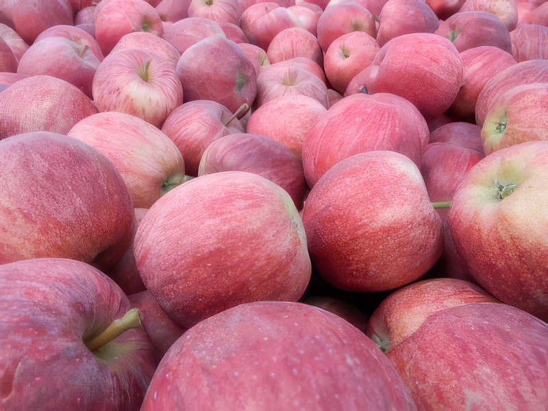 Les Vergers Du Val Garonne Vente Direct De Fruits Toulouse 06