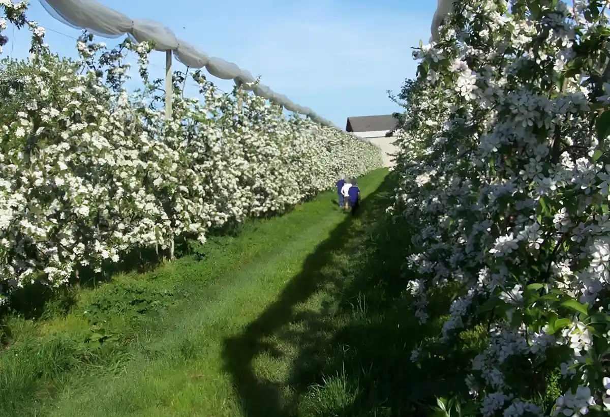 Les Vergers Du Val Garonne Vente Direct De Fruits Toulouse Galerie 4 1